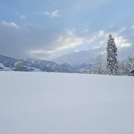 Отель Stierer 3*