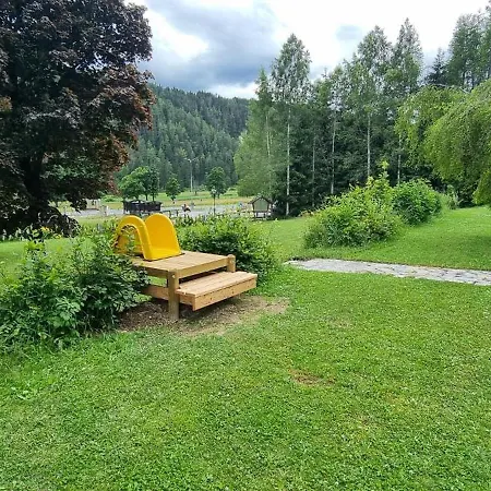 Stierer Ramsau am Dachstein