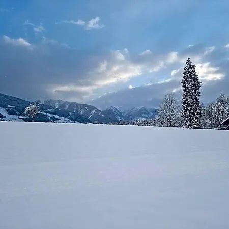 Hotel Stierer Ramsau am Dachstein