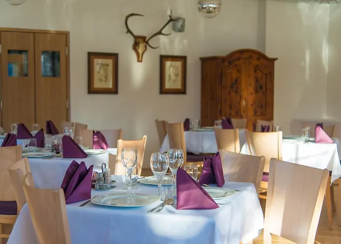 Stierer رامساو أم داتشستين