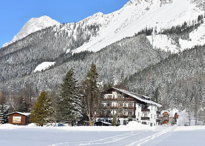 Stierer Ramsau am Dachstein